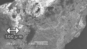 十和田石構造写真01_SEM像（40倍）