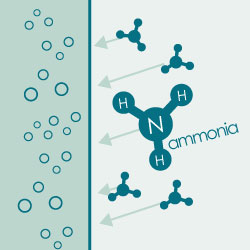 「アンモニア吸着」アイコン