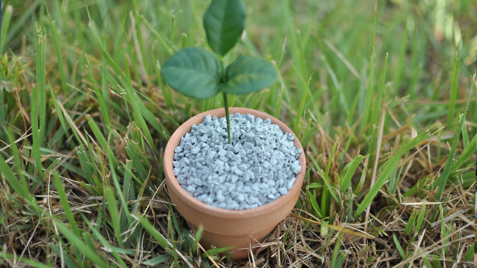 スライド1枚目 十和田石イメージ会社概要