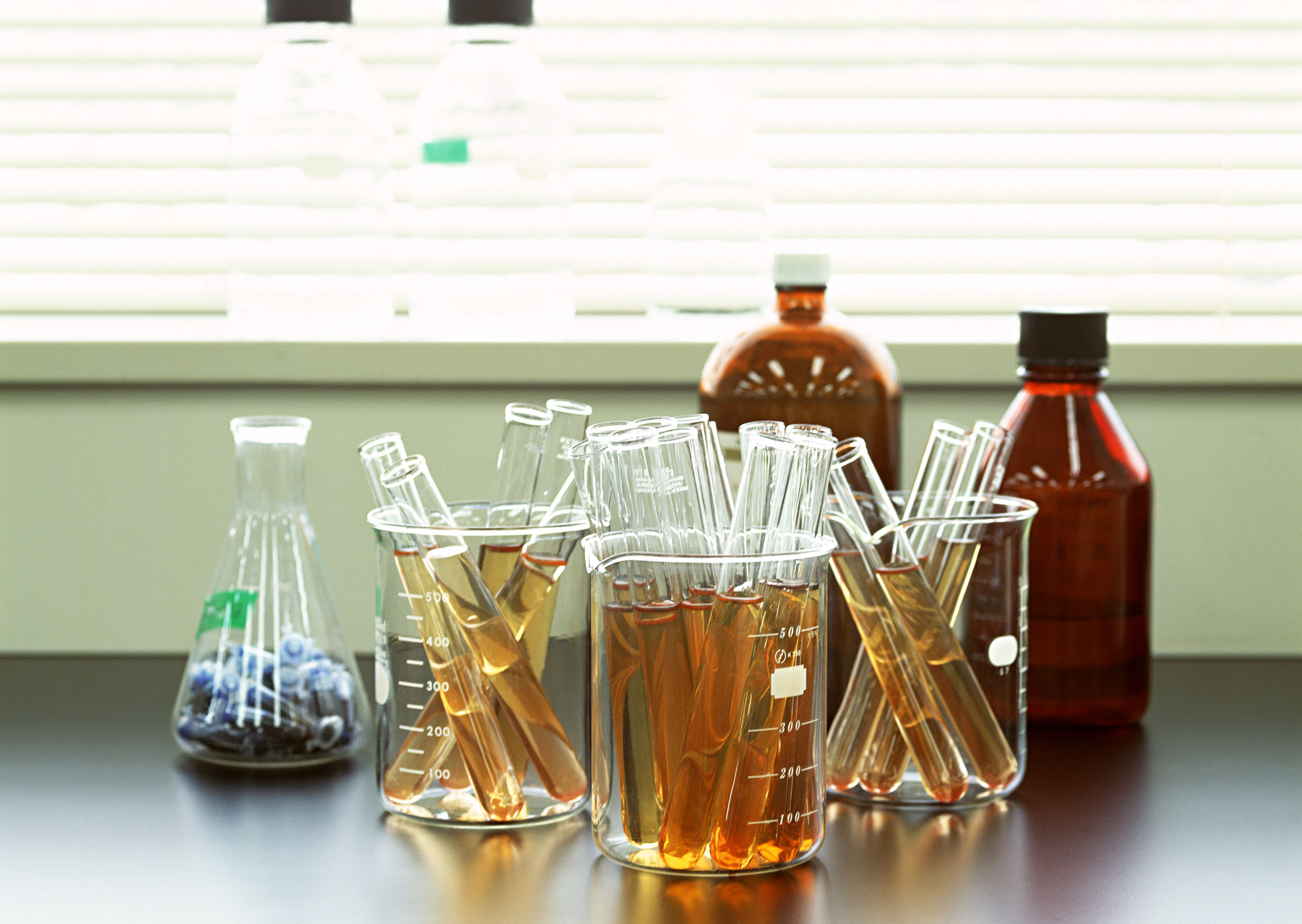 研究開発についてイメージ画像