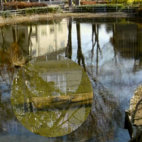 水質保全効果の画像